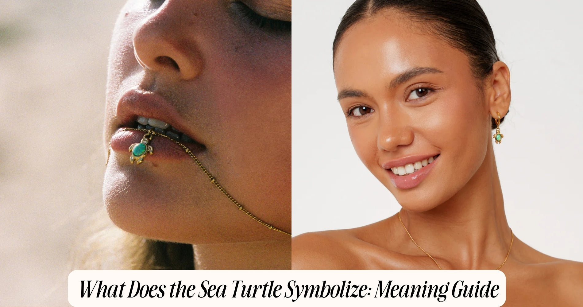 what does the sea turtle symbolize