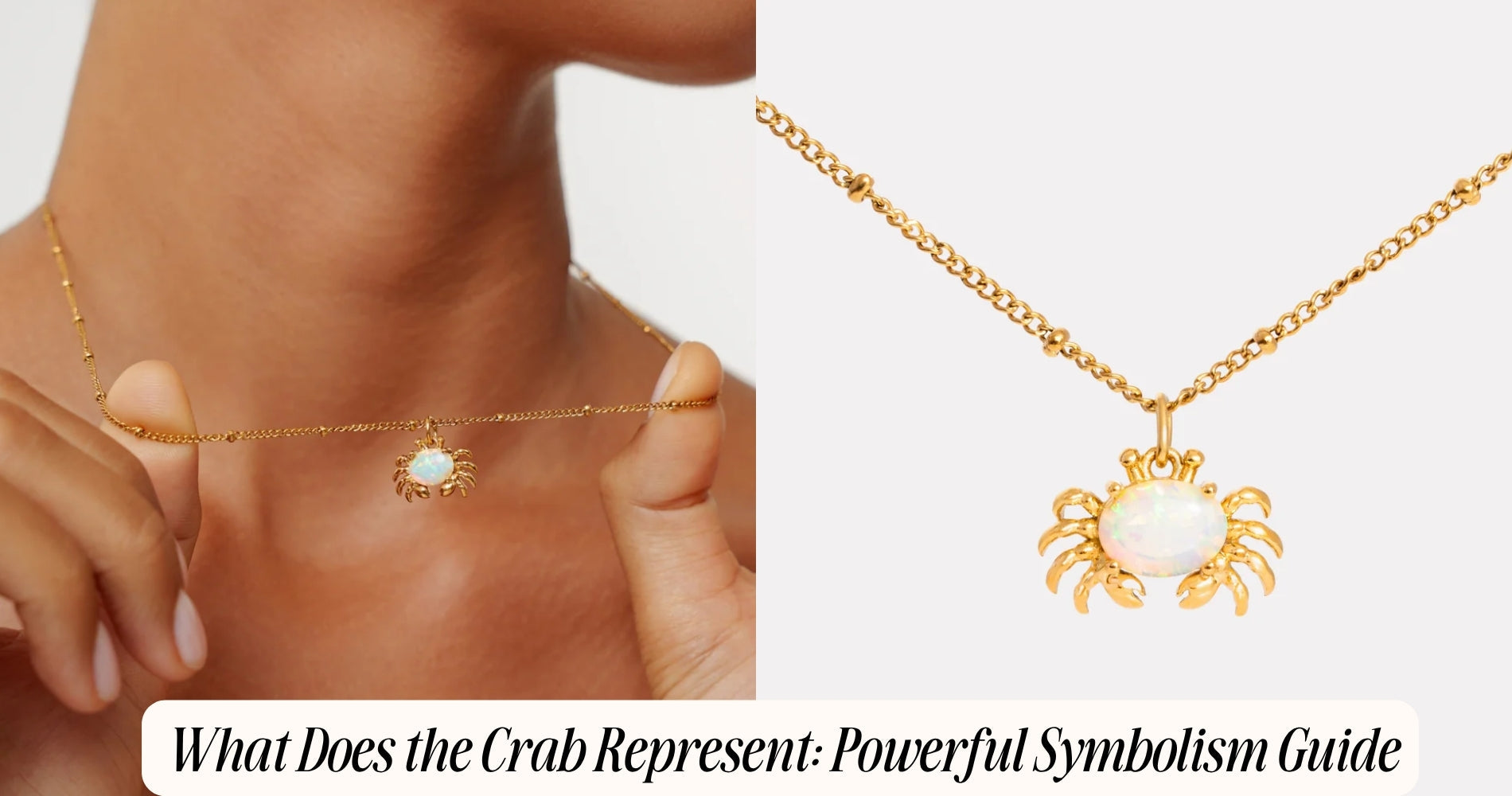 what does the crab represent