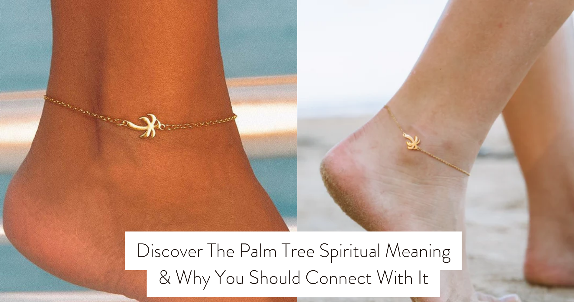 palm tree spiritual meaning